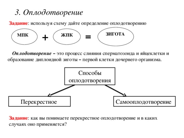 3. Оплодотворение Задание : используя схему дайте определение оплодотворению ЗИГОТА  ЖПК МПК  + = Оплодотворение  – это процесс слияния сперматозоида и яйцеклетки и образование диплоидной зиготы – первой клетки дочернего организма. Способы оплодотворения Самооплодотворение Перекрестное Задание : как вы понимаете перекрестное оплодотворение и в каких случаях оно применяется?