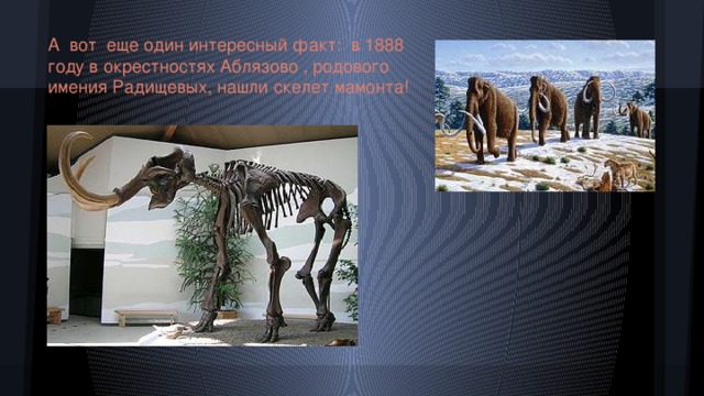 А вот еще один интересный факт: в 1888 году в окрестностях Аблязово , родового имения Радищевых, нашли скелет мамонта!