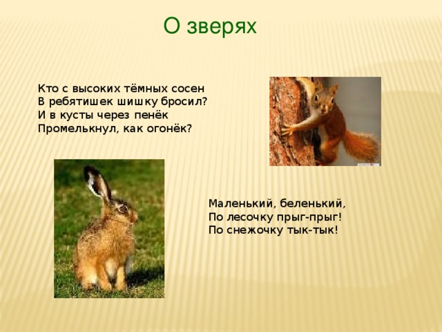 О зверях Кто с высоких тёмных сосен  В ребятишек шишку бросил?  И в кусты через пенёк  Промелькнул, как огонёк? Маленький, беленький,  По лесочку прыг-прыг!  По снежочку тык-тык!