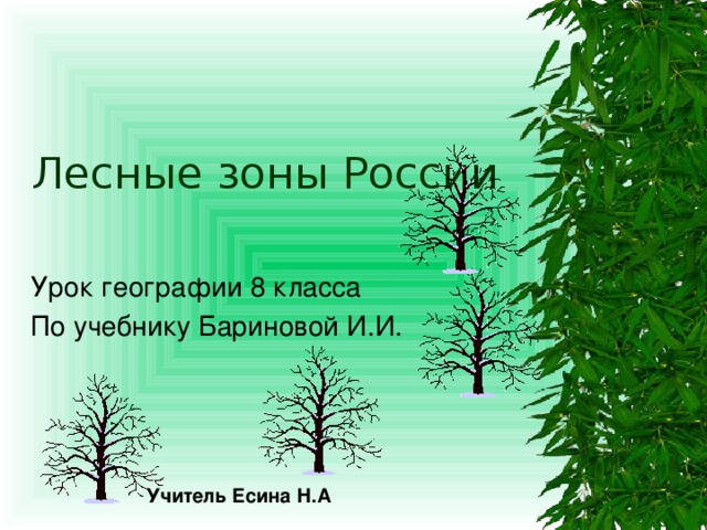 Лесные зоны России Урок географии 8 класса По учебнику Бариновой И.И. Учитель Есина Н.А