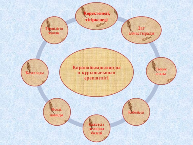 Қоректенеді, тітіркенеді Зат алмастырады Тіршілігін жояды Қарапайымдылардың құрылысының ерекшелігі Тыныс алады Қозғалады Көбейеді Өседі, дамиды  Қажетсіз заттарды бөледі