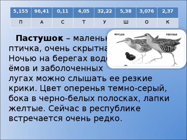 5,155 96,41 П А 0,11 4,05 С 32,22 Т 5,38 У Ш 3,076 О 2,37 К Пастушок – маленькая  птичка, очень скрытна.  Ночью на берегах водо-  ёмов и заболоченных  лугах можно слышать ее резкие крики. Цвет оперенья темно-серый, бока в черно-белых полосках, лапки желтые. Сейчас в республике встречается очень редко.