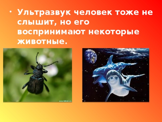 Инфразвук практически не поглощается в различных средах, поэтому он может распространяться на больших расстояниях. Это позволяет: Определять места сильных взрывов; Положение стреляющего орудия; Вести контроль за подземными ядерными взрывами; Предсказывать цунами.