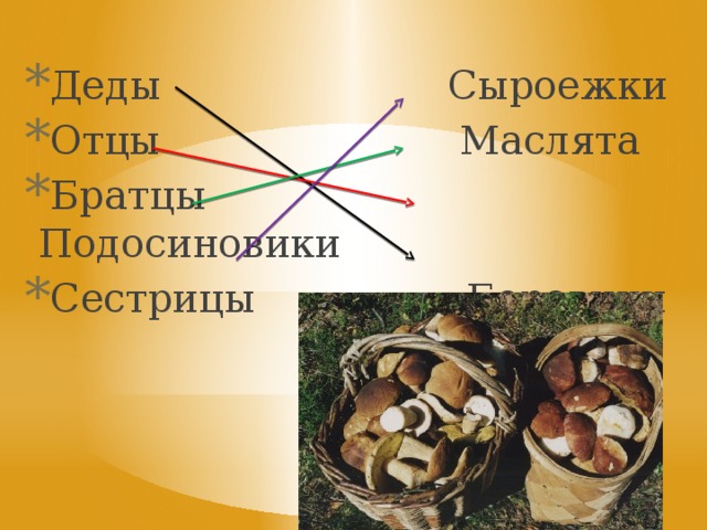 Деды Сыроежки Отцы Маслята Братцы Подосиновики Сестрицы Боровики