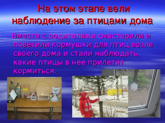 На этом этапе вели наблюдение за птицами дома  Вместе с родителями смастерили и повесили кормушки для птиц возле своего дома и стали наблюдать, какие птицы в нее прилетят кормиться.