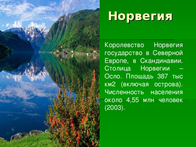 Королевство Норвегия государство в Северной Европе, в Скандинавии. Столица Норвегии – Осло. Площадь 387 тыс км2 (включая острова). Численность населения около 4,55 млн человек (2003).