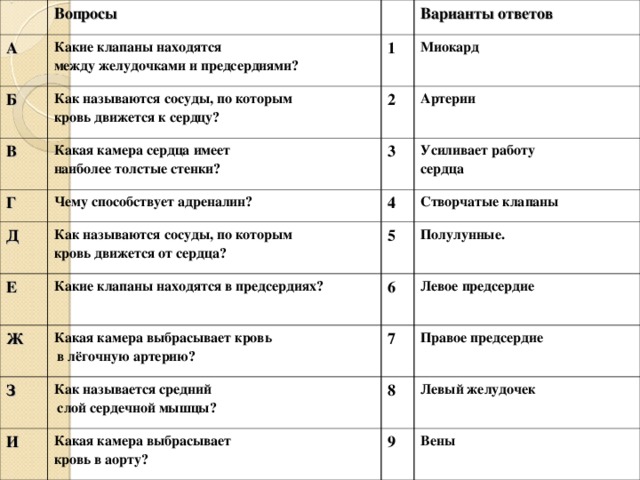 Вопросы А Какие клапаны находятся между желудочками и предсердиями? Б Как называются сосуды, по которым кровь движется к сердцу? Варианты ответов 1 В Какая камера сердца имеет наиболее толстые стенки? Миокард 2 Г Д 3 Артерии Чему способствует адреналин? Е Как называются сосуды, по которым кровь движется от сердца? 4 Усиливает работу сердца Ж Створчатые клапаны 5 Какие клапаны находятся в предсердиях? З Какая камера выбрасывает кровь  в лёгочную артерию? 6 Полулунные. И 7 Как называется средний  слой сердечной мышцы? Левое предсердие 8 Какая камера выбрасывает кровь в аорту? Правое предсердие 9 Левый желудочек Вены