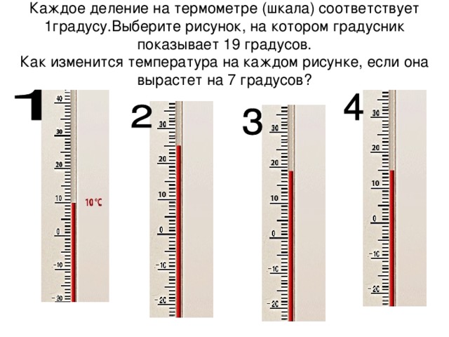 Каждое деление на термометре (шкала) соответствует 1градусу.Выберите рисунок, на котором градусник показывает 19 градусов.  Как изменится температура на каждом рисунке, если она вырастет на 7 градусов?