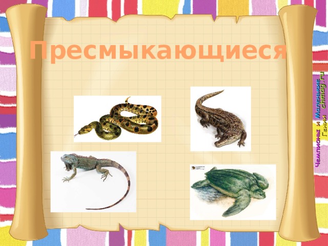 Пресмыкающиеся