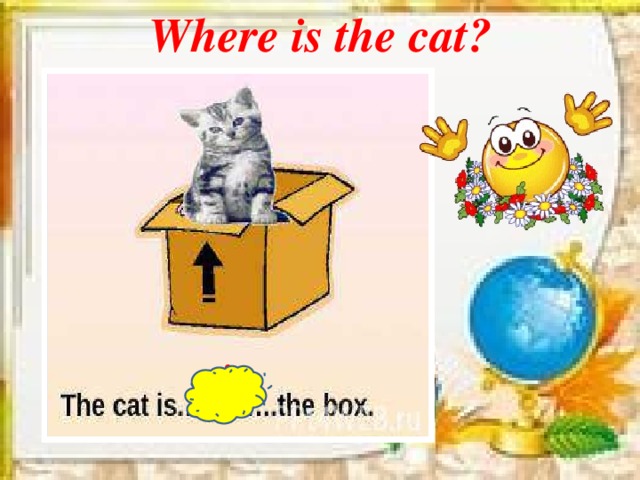 Where is the cat?  in