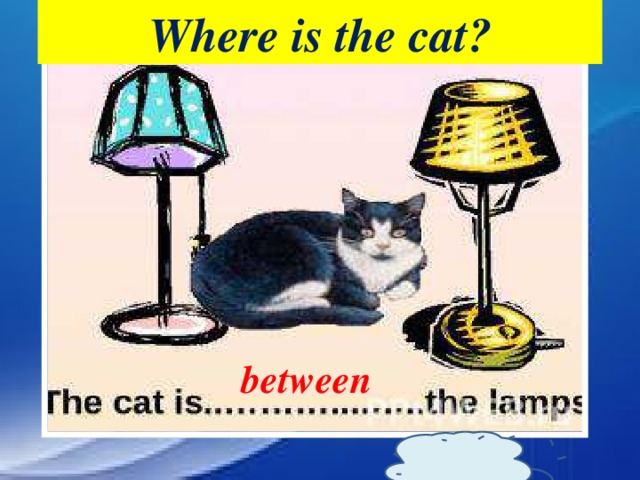 Where is the cat? between