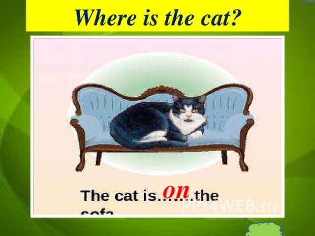 Where is the cat? on