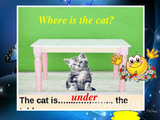 Where is the cat? under