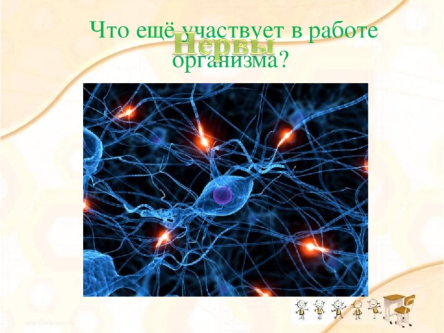 Что ещё участвует в работе организма? Мы части тела все связали. Тоненькими паутинками нас назвали…