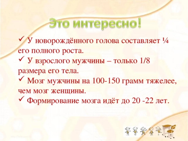 У новорождённого голова составляет ¼ его полного роста.  У взрослого мужчины – только 1/8 размера его тела.  Мозг мужчины на 100-150 грамм тяжелее, чем мозг женщины.  Формирование мозга идёт до 20 -22 лет.