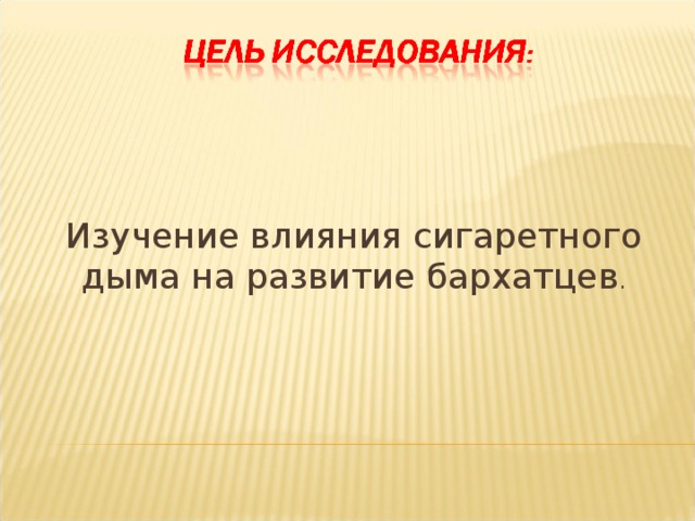 Изучение влияния сигаретного дыма на развитие бархатцев .