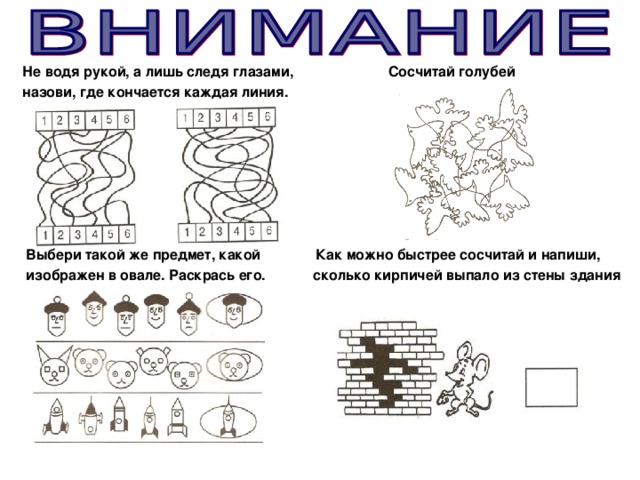 Не водя рукой, а лишь следя глазами, Сосчитай голубей назови, где кончается каждая линия.    Выбери такой же предмет, какой Как можно быстрее сосчитай и напиши,  изображен в овале. Раскрась его. сколько кирпичей выпало из стены здания