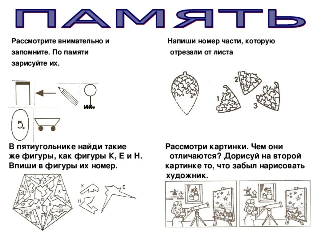 Рассмотрите внимательно и Напиши номер части, которую запомните. По памяти отрезали от листа зарисуйте их. их. В пятиугольнике найди такие Рассмотри картинки. Чем они же фигуры, как фигуры К, Е и Н. отличаются? Дорисуй на второй Впиши в фигуры их номер. картинке то, что забыл нарисовать  художник.