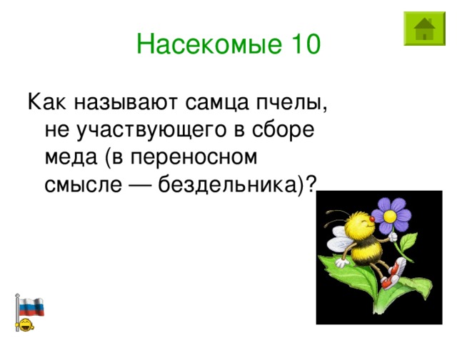 Насекомые 10 Как называют самца пчелы, не участвующего в сборе меда (в переносном смысле — бездельника)?