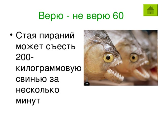 Верю - не верю 60