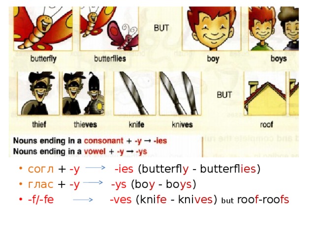 согл + -y  -ies (butterfl y - butterfl ies ) глас + -y  -ys (bo y - bo ys ) -f/-fe  -ves (kni fe - kni ves ) but roo f -roo fs