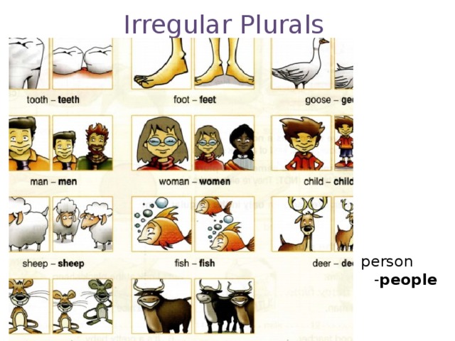 Irregular Plurals person - people