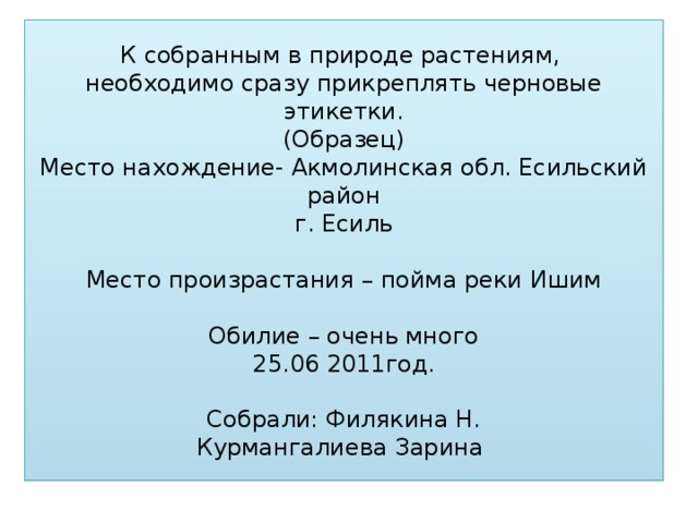 К собранным в природе растениям,  необходимо сразу прикреплять черновые этикетки.  (Образец)  Место нахождение- Акмолинская обл. Есильский район  г. Есиль   Место произрастания – пойма реки Ишим   Обилие – очень много  25.06 2011год.   Собрали: Филякина Н.  Курмангалиева Зарина