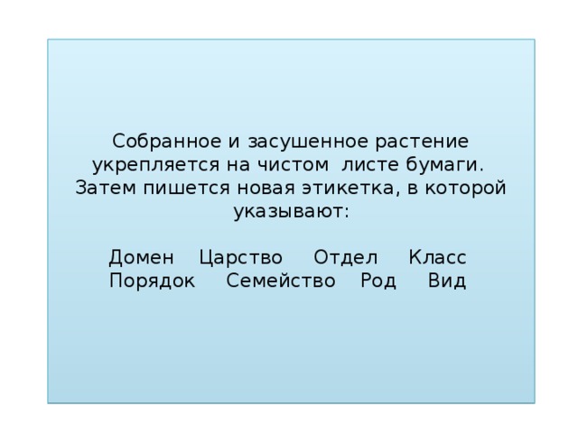 Собранное и засушенное растение укрепляется на чистом листе бумаги.  Затем пишется новая этикетка, в которой указывают:   Домен Царство Отдел Класс  Порядок Семейство Род Вид