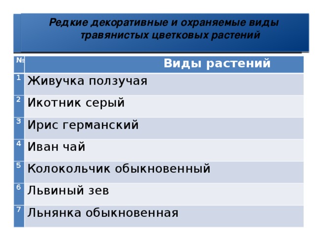 Редкие декоративные и охраняемые виды  травянистых цветковых растений  Редкие декоративные и охраняемые виды  травянистых цветковых растений  Редкие декоративные и охраняемые виды  травянистых цветковых растений №  Виды растений 1 Живучка ползучая 2 3 Икотник серый Ирис германский 4 5 Иван чай Колокольчик обыкновенный 6 7 Львиный зев Льнянка обыкновенная