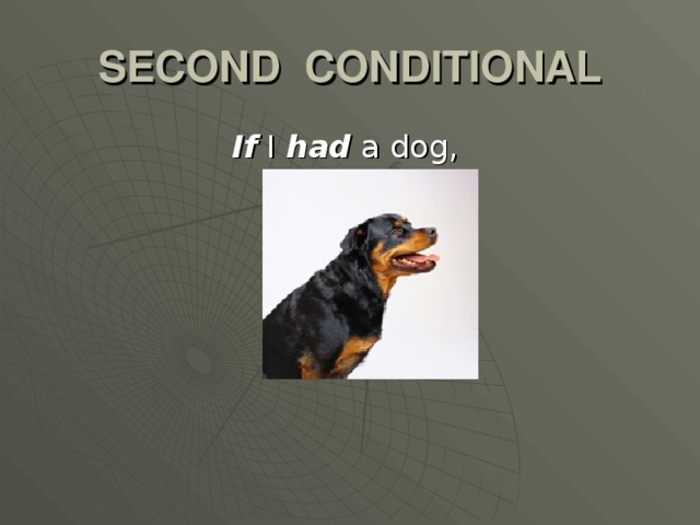 SECOND CONDITIONAL If I had a dog,