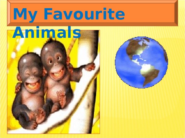 My Favourite Animals