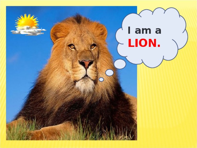 I am a LION.