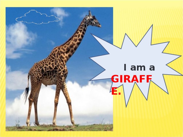 I am a GIRAFFE.