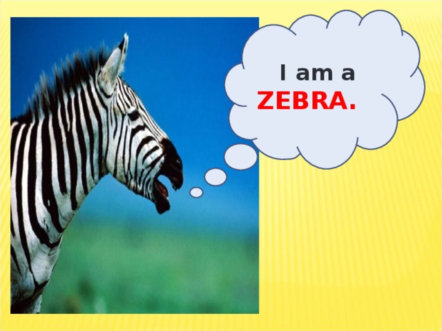 I am a  ZEBRA.