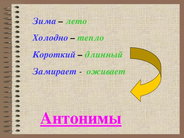 Зима – лето Холодно – тепло Короткий – длинный Замирает  -   оживает Антонимы