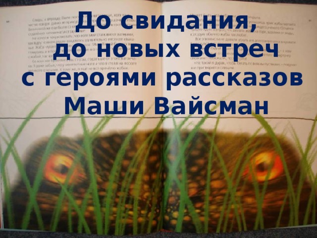 До свидания,  до новых встреч  с героями рассказов  Маши Вайсман