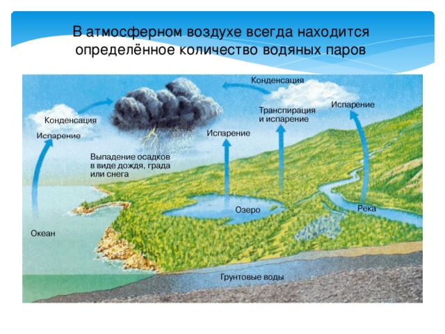 В атмосферном воздухе всегда находится определённое количество водяных паров