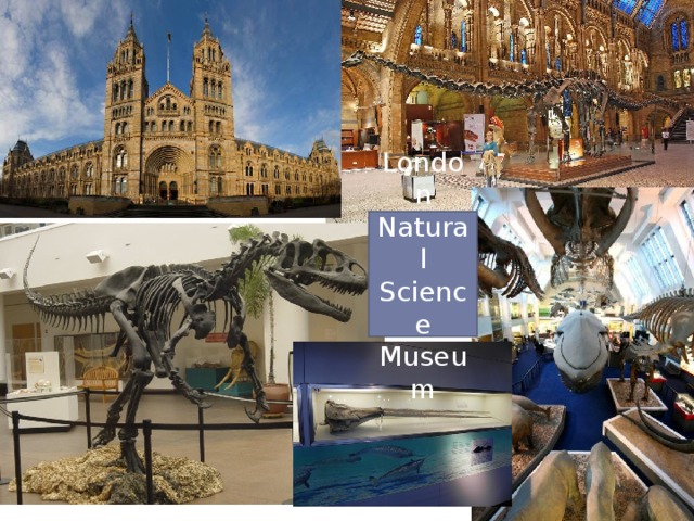 London Natural Science Museum