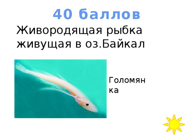 40 баллов Живородящая рыбка живущая в оз.Байкал Голомянка