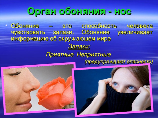 Орган обоняния - нос Обоняние – это способность человека чувствовать запахи. Обоняние увеличивает информацию об окружающем мире Запахи: Приятные     Неприятные (предупреждают опасности)