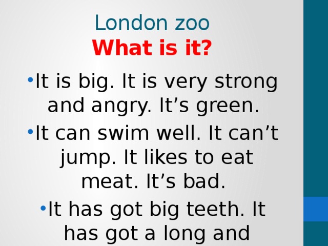 London zoo  What is it?