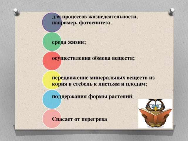 Название этого процесса жизнедеятельности растений анаграмма. Значение воды в жизнедеятельности растений.