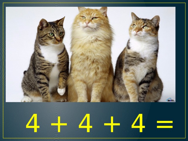 4 + 4 + 4 = 12