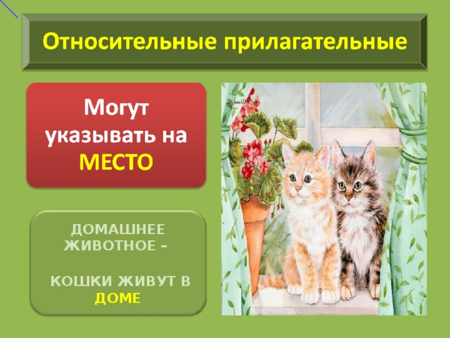 ДОМАШНЕЕ ЖИВОТНОЕ –   КОШКИ ЖИВУТ В ДОМЕ