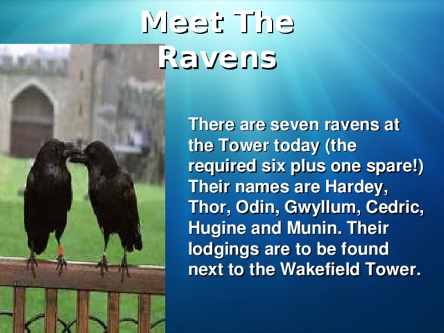 Meet The Ravens There are seven ravens at the Tower today (the required six plus one spare!) Their names are Hardey, Thor, Odin, Gwyllum, Cedric, Hugine and Munin. Their lodgings are to be found next to the Wakefield Tower.