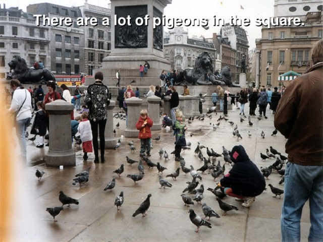 There are a lot of pigeons in the square.