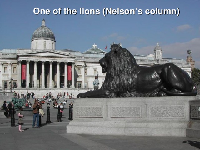 One of the l ion s (N elson ’s column )
