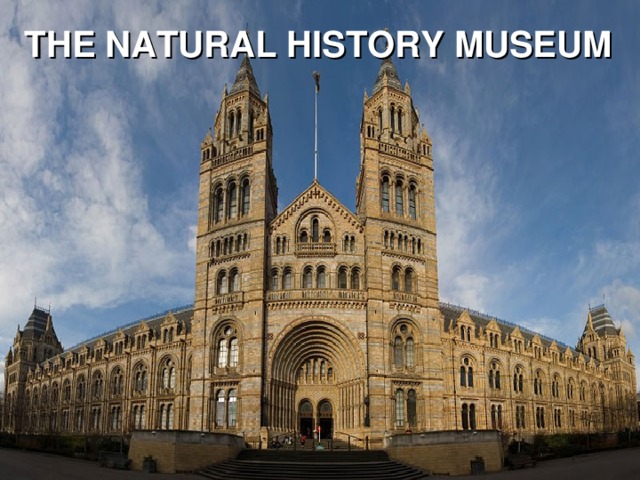 THE NATURAL HISTORY MUSEUM