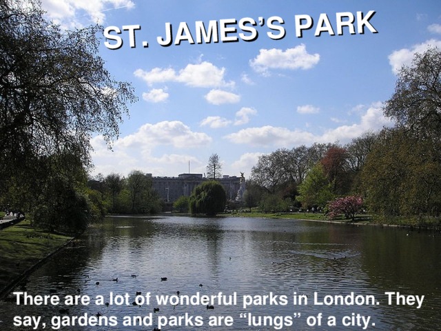 ST. JAMES’S PARK There are a lot of wonderful parks in London. They say, gardens and parks are “lungs” of a city.