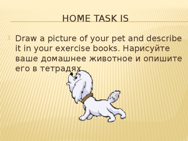 Home task is